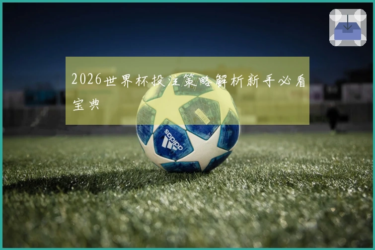 2026世界杯投注策略解析新手必看宝典