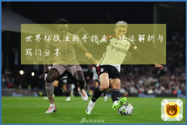 世界杯投注新手指南：玩法解析与窍门分享