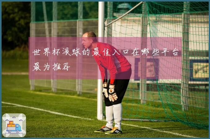 世界杯滚球的最佳入口在哪些平台最为推荐