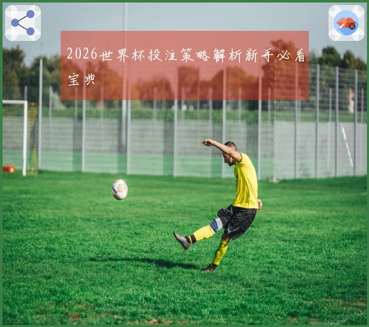 2026世界杯投注策略解析新手必看宝典